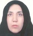 Nasrin Shokrpour PhD